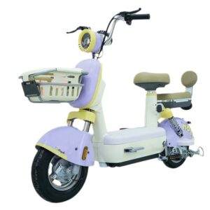 Electric Bicycle-Metaverse